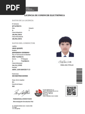 Licencia De Conducir Electronica Pdf