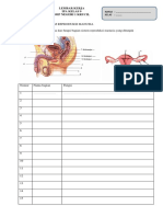 LEMBAR KERJA Sistem Reproduksi 2021
