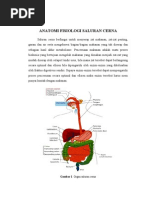 Download ANATOMI FISIOLOGI SALURAN CERNA by Selly Mujahidah Pemberani SN51759779 doc pdf