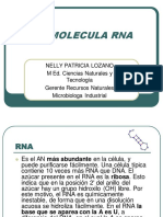 Biomolecula Rna