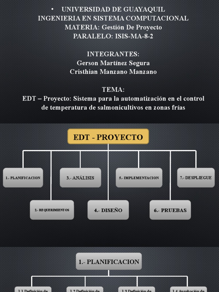 Edt Proyecto | PDF | Software | Gestión de tecnología de la información