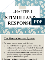 Human Nervous and Sensory Systems