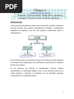 Modulo 4. Comprension Lectora