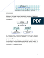 Procesos cognitivos en la comprensión lectora