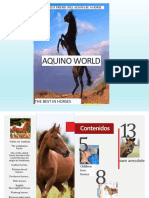 Aquino World: The Best in Horses