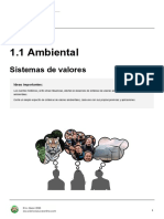 1 1-Environmental-Value-Systems en Es