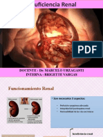 U.insuficiencia Renal