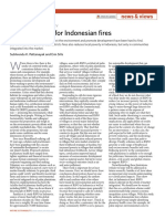 A Middle Way' For Indonesian Fires