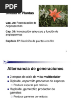 Generaciones Humanas