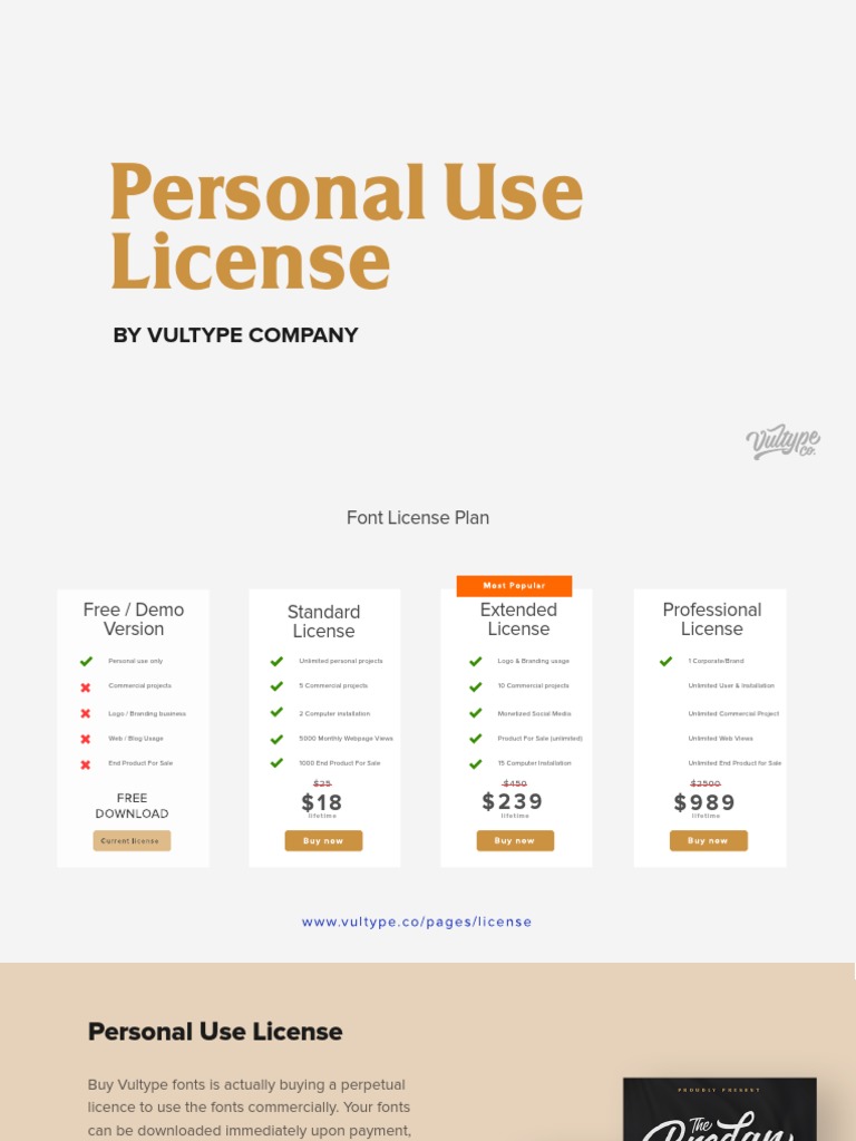 Commercial Font License Options | PDF