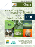 AUGURA Guía Mip de Plagas en Banano y Plátano Colombia LEÏ