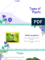 Types of Plants For Kids PPP