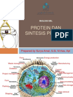 Proteindansintesisprotein 150510065247 Lva1 App6892