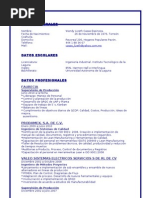 Download Curriculum Ingeniero Industrial 7 by Leopoldo Alberto Hernandez Corpus SN51764329 doc pdf