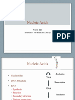 Nucleotides and Nucleic Acids