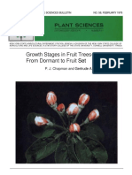 Fruit Growth Stages-Important