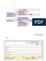 Ciclo Contable+formatos de Soportes