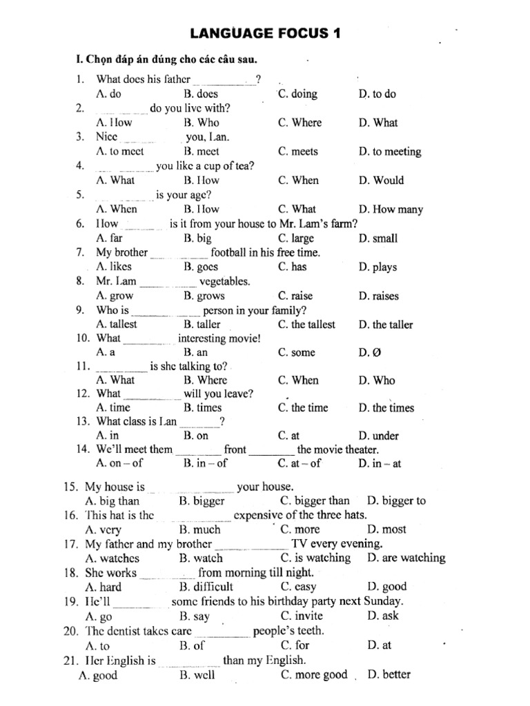 Language Focus 1 | PDF