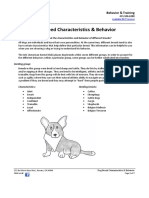 Dog Breed Characteristics & Behavior