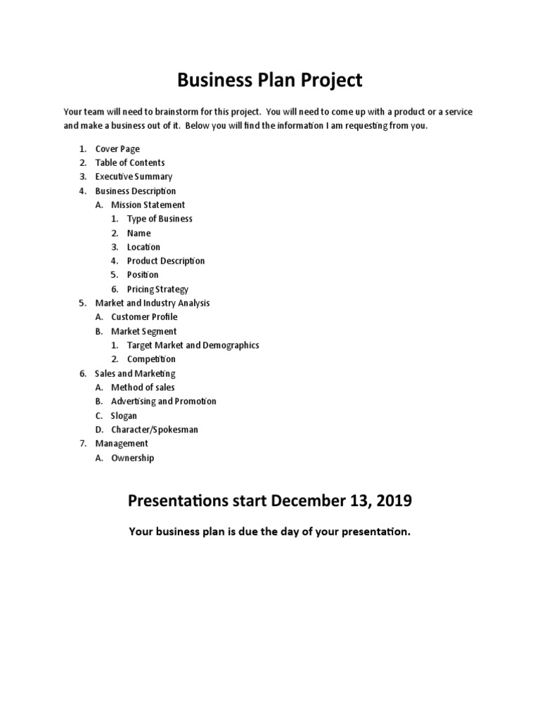 Business Plan Project | PDF | Business