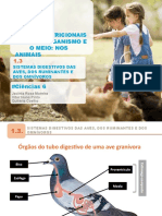 Aecn6 PPT Digestivo Animais