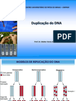 4 Genetica Molecular Duplicacao DNA
