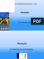 6 Mutações