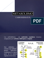 Metabolismo Carbohidratos