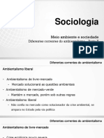 3 ano - Diferentes Correntes do Ambientalismo - Parte 2