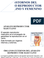 Transtornos Del Aparato Reproductor Masculino y Femenino