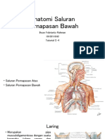 Kasus 2 Anatomi Saluran Pernapasan Bawah - BlokRS - Tingkat2 - NRP1910211042 - Ihsan Febrianto Rahman