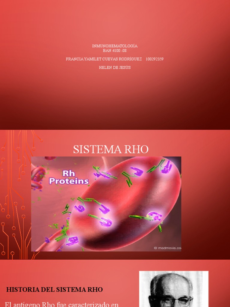 Historia y Importancia del Sistema Rh | PDF | Anticuerpo | Inmunología