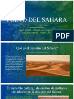 Polvo Del Sahara Expo