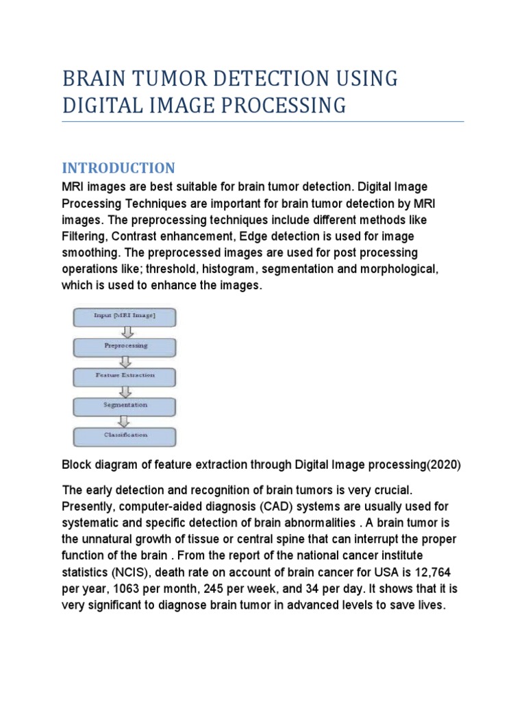 Brain Tumor Detection via Image Processing | PDF | Science ...