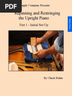 RepinningandRestringing-part1