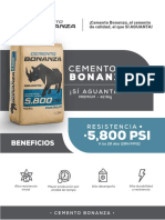 Ficha Técnica - Bonanza 5800