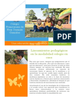 Lineamientos Pedagogicos Colegio en Casa y Alternancia