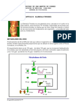 ENDOCRINOLOGIA