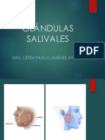 Glándulas Salivales