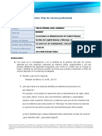 PDF Formato Plan de Carrera Profesional