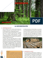 Circulo Geografia La Deforestacion Tema 17