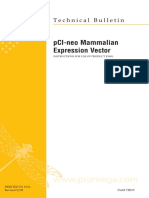 pCI-neo Mammalian Expression Vector TB215