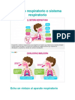 Aparato Respiratorio o Sistema Respiratorio