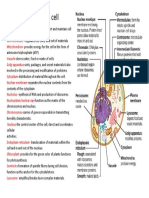 Parts of Plant Cell