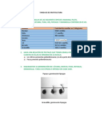 Tarea 05 de Fruticultura