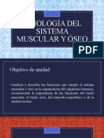 Fisiología Del Sistema Muscular y Óseo