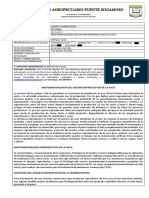 Grado 11 - Pecuaria (Guia 1-3°)