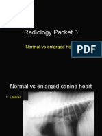 Radiology Packet 3 Normal Vs Enlarged Heart