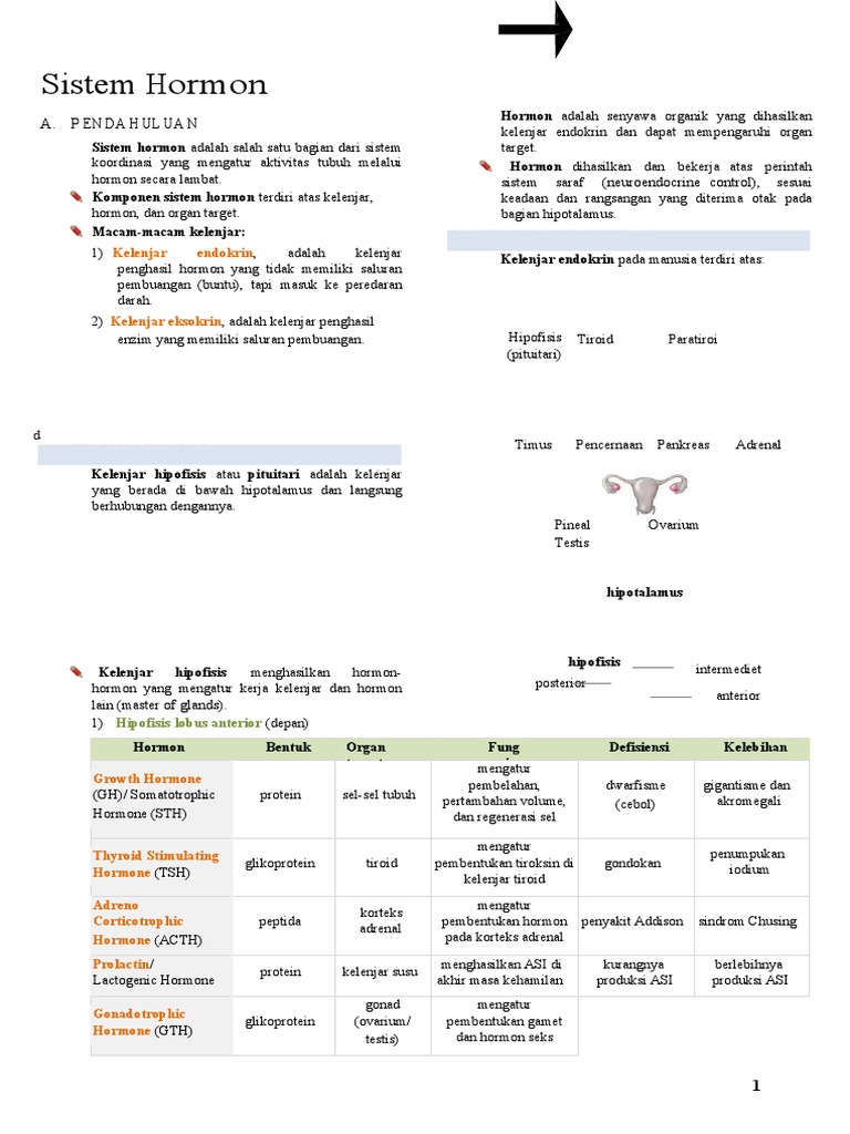Sistem Hormon Manusia dan Fungsinya | PDF