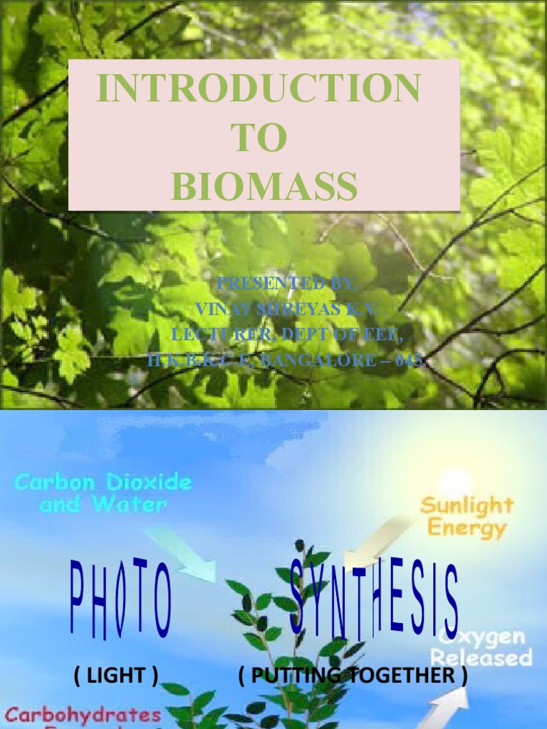 Introduction to Biomass and Photosynthesis | PDF | Photosynthesis ...